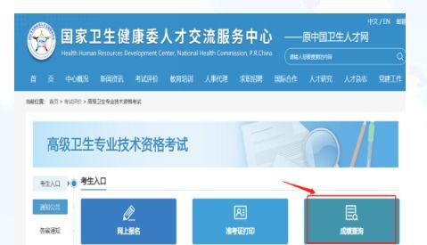 2023年河北衛(wèi)生系列高級(jí)專(zhuān)業(yè)技術(shù)資格實(shí)踐技能考試成績(jī)查詢(xún)通知——兼論信息技術(shù)咨詢(xún)服務(wù)與衛(wèi)生人才發(fā)展的協(xié)同效應(yīng)